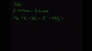 10-minute Rounds:  The Serum Anion Gap