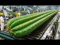 Production Process Inside A Cactus Factory Almost No One Has Seen