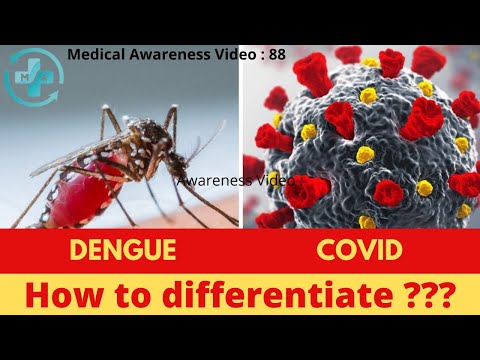 DENGUE AND COVID : HOW TO DIFFERENTIATE ?