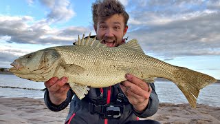 I Struck BASS Fishing GOLD - Biggest EVER... 3 PBs?! 🔱😱