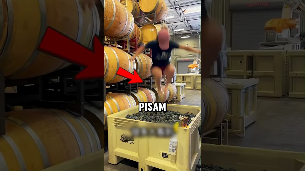 Parece nojento! 🤢🍷