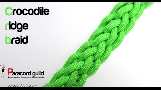 6 strand crocodile ridge braid Wealth