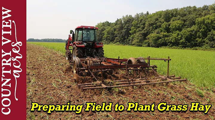 Disc Harrowing Field, Preparing it to plant with Grass Hay - DayDayNews