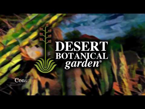 A digital postcard to Desert Botanical Garden