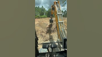Digging up pine stumps in the JCB