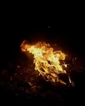 Soniye Dil Nayi | Baaghi 2 |