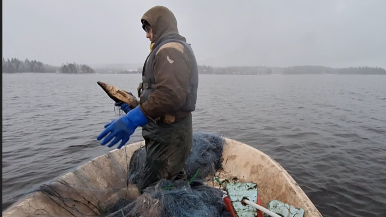 Verkoilla Pielisellä 17.11.25. Viimeiset verkot ylös!!