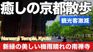 【癒しの京都散歩】梅雨晴れの新緑の南禅寺を歩く 6月11日の京都 Nanzenji Temple, Kyoto 4k