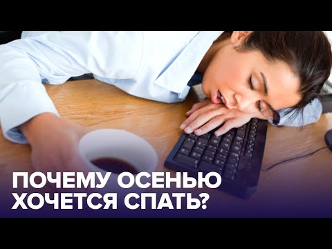 Кто сказал, что ОСЕНЬ - унылая пора? Развенчиваем СТРАШНЫЕ МИФЫ об осени