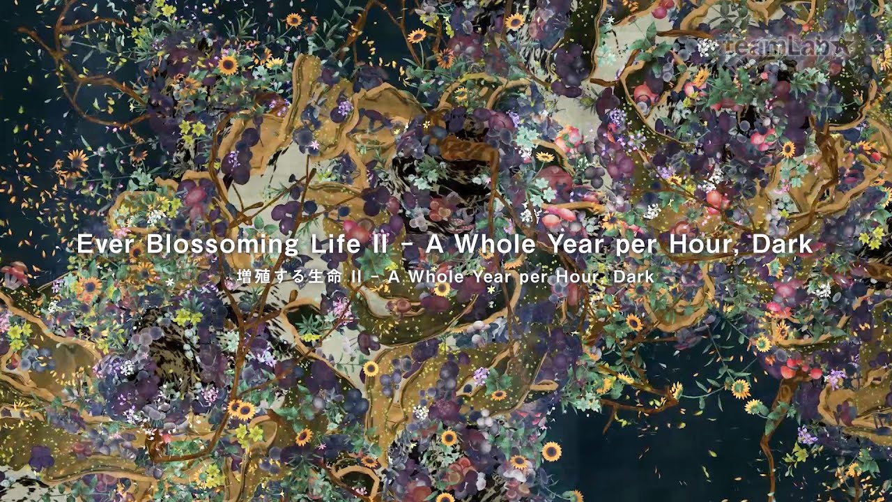 Ever Blossoming Life II – A Whole Year per Hour, Dark / 増殖する生命 II – A ...