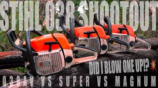 STIHL 038 Showdown | Did I Blow One Up?! 💥