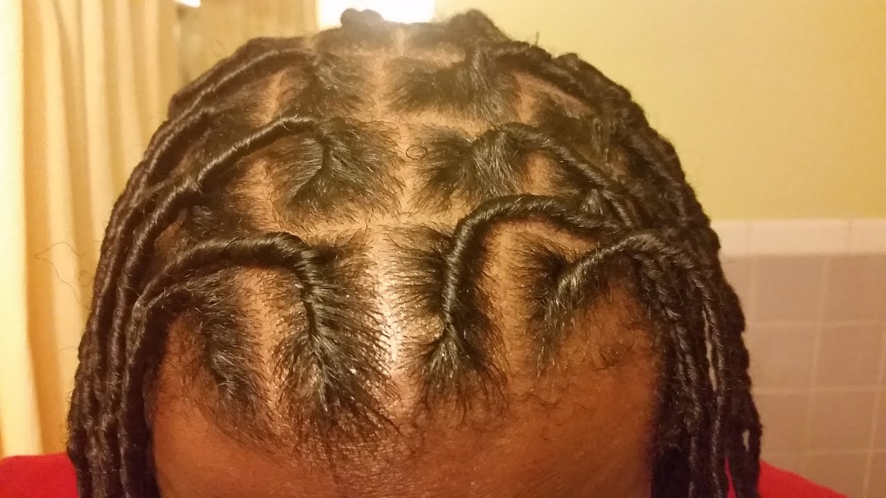 starter locs on long thick hair (dreadloc journey)