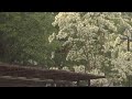 ALEPH 알레프 Frame Fame 가사해석 한글자막 번역 Lyrics 