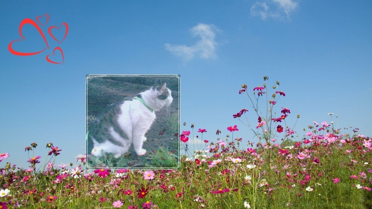 В память о Грине *A la memoire de Grinya*