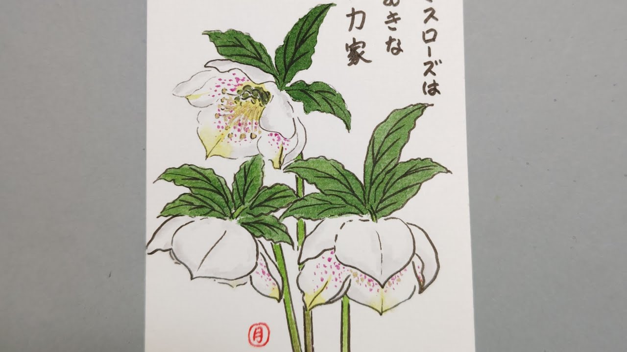 水彩画　クリスマスローズ　マーメイド紙　冬の絵　絵画　アート　インテリア 水彩画クリスマスローズマーメイド紙冬の絵絵画アートインテリア