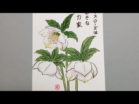 水彩画　クリスマスローズ　マーメイド紙　冬の絵　絵画　アート　インテリア 水彩画クリスマスローズマーメイド紙冬の絵絵画アートインテリア