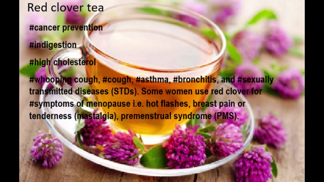 10 great teas for your health - YouTube