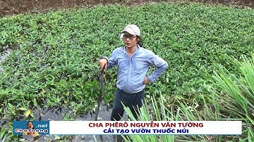 CẢI TẠO VƯỜN THUỐC NÚI ĐẶC TRỊ BỆNH NAN Y (10.06.2018) | Cha Phêrô Nguyễn Văn Tường