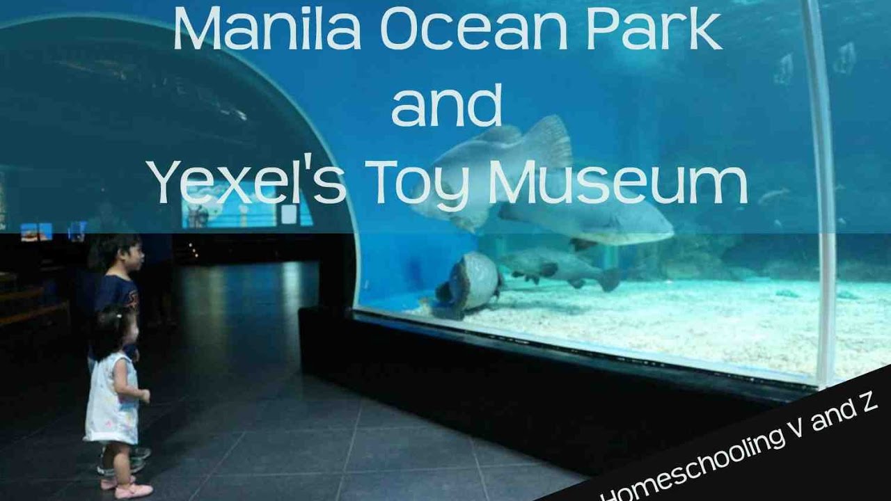 How To Go Yexel S Toy Museum Manila Ocean Park Wow Blog