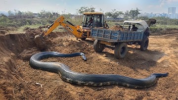 JCB 3dx Backhoe Loader Machine Loading Mud In Mahindra 475 Di Tractor and Stuck in Mud Jcb Video JCB