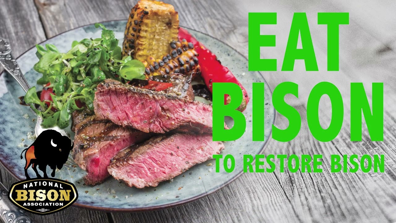 National Bison Association Eat Bison to Restore Bison