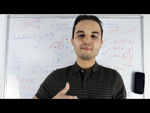 Espace Vectoriel Partie I : Vocabulaire et sous espace vectoriel
