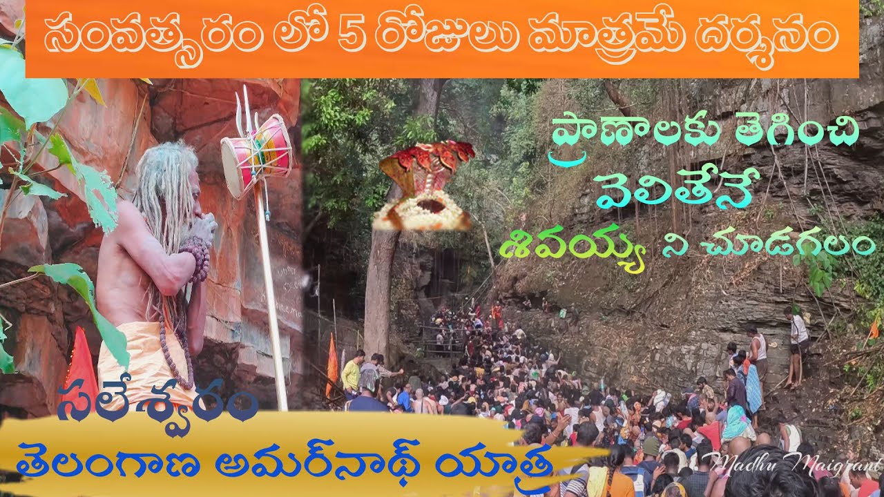 ప్రాణాలకు తెగించి తీసిన వీడియో | సలేశ్వరం యాత్ర.... సంవత్సరం లో  5 రోజులు మాత్రమే తెరిచే గుడి