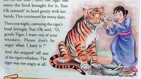 class5th chapter3rd(The tiger