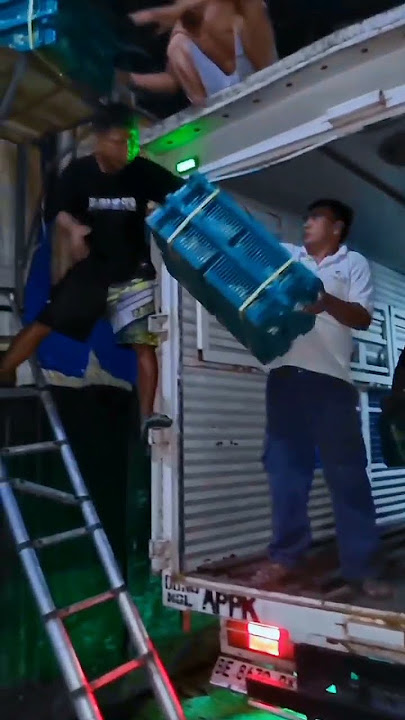 story wa kadang ayam broiler #viral #storytruk #peternakan #storytruk #storywa #ayam #trukayam