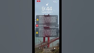 Thumbnail of Texas amber alert 🚨 on phone 📱