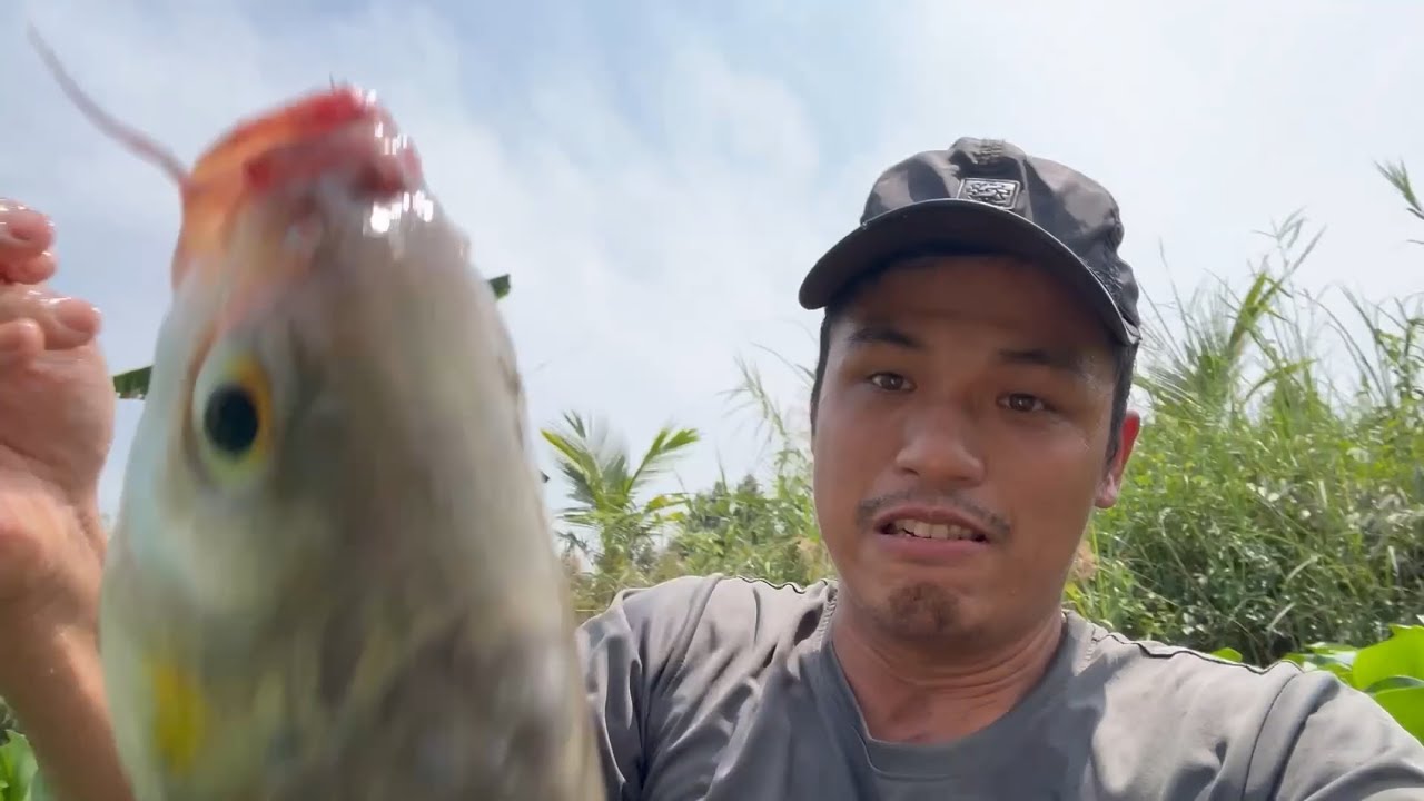 Một Video Cuối Năm 