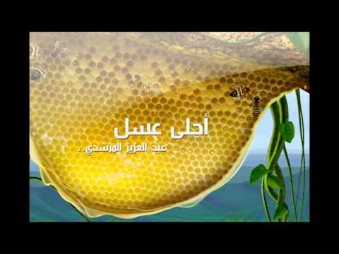 نشيد أحلى عسل عبد العزيز المرشدي
