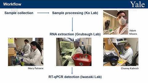 SalivaDirect: simple & sensitive molecular diagnostic test for SARS-CoV-2 surveillance