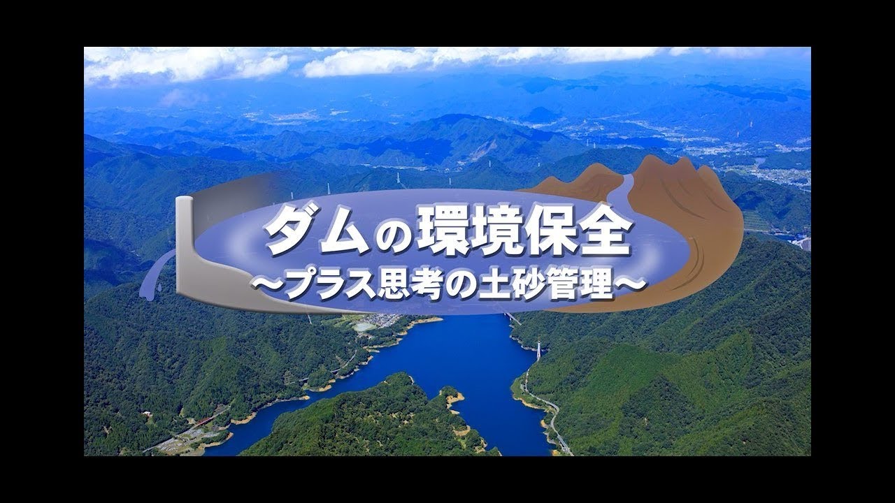 ダムの管理例規集 平成５年版/水源地環境センタ-/ダム水源地環境整備センタ-（単行本） ダムの管理例規集 平成5年版/水源地環境センタ-/ダム水源地