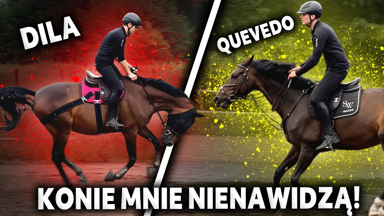 DILA CZY QUEVEDO? Który koń bardziej mnie NIE LUBI?