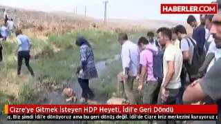 Cizreye Gitmek İsteyen P Heyeti, İdile Geri Döndü