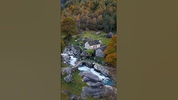 تلاوت قرآن كريم سعد أيوب #تلاوات #قرآن #تلاوت #alafasy #tilawatequran #سعد