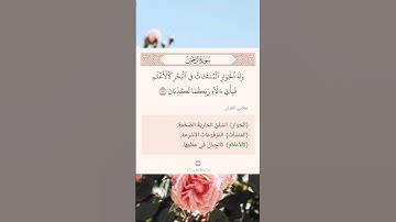 سورة الرحمن أية (٢٥)