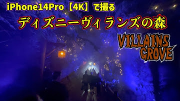 ディズニーヴィランズの森 Youtube