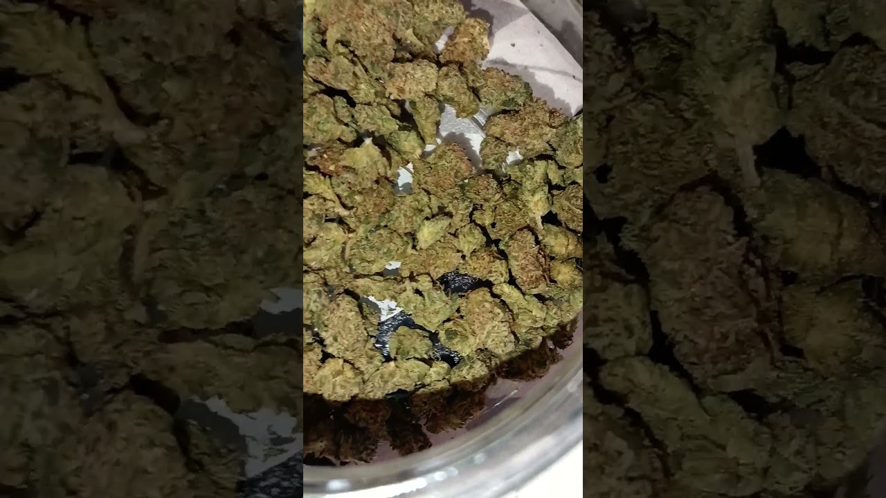 Cold Creek Kush by 4C Labs MC 