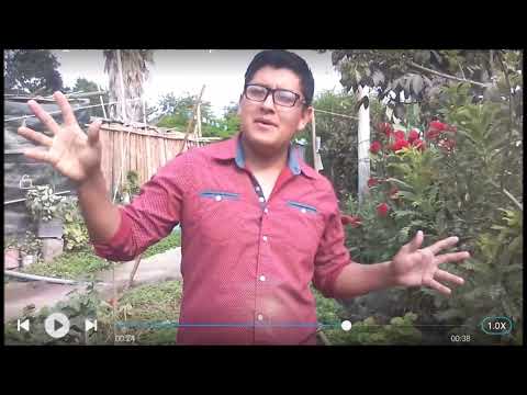 ACOSTUMBRADO A TU