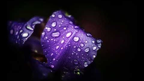 Solar Fields - Overlapping Particles