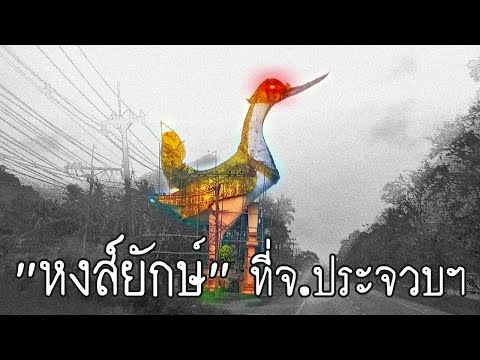 วีดีโอ: หงส์เป็นของนกอะไร?