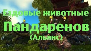 Ездовые животные Пандаренов (Альянс) или где купить Драконьих черепах Ездовые животные Пандаренов (Альянс) или где купить Драконьих черепах