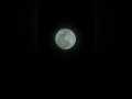 snow moon