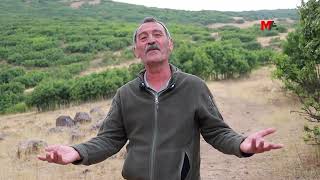 ‘Gi̇mgi̇mde Orman Kesi̇m Plani Jes İle Bağlantili’
