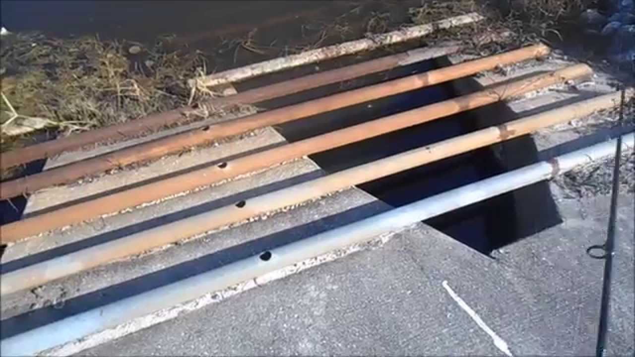 extreme ditch fishing 2...fish in pipe 1/4/15 YouTube