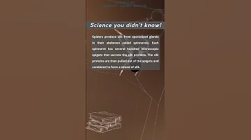Spider Webs simplified
