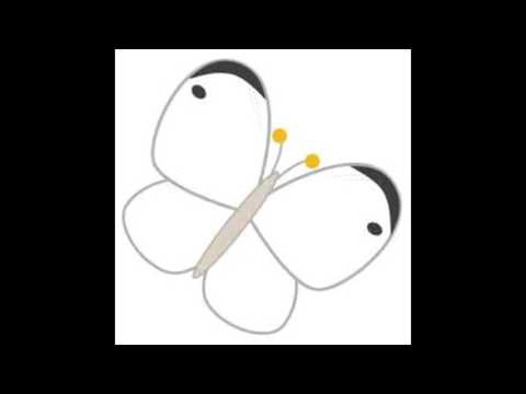 [癒し] Butterfly/木村カエラ