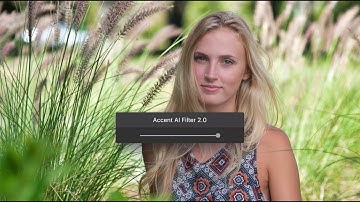 Meet ACCENT AI 2.0 with facial and object recognition technology | LUMINAR 3.1.0 AVAILABLE NOW